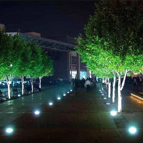 Solar LED In-Ground Pathway Lights